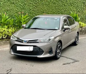 Toyota Axio 2018 Silver