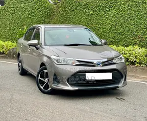 Toyota Axio 2018 Silver