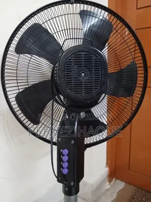 মিরা স্ট্যান্ড ফ্যান