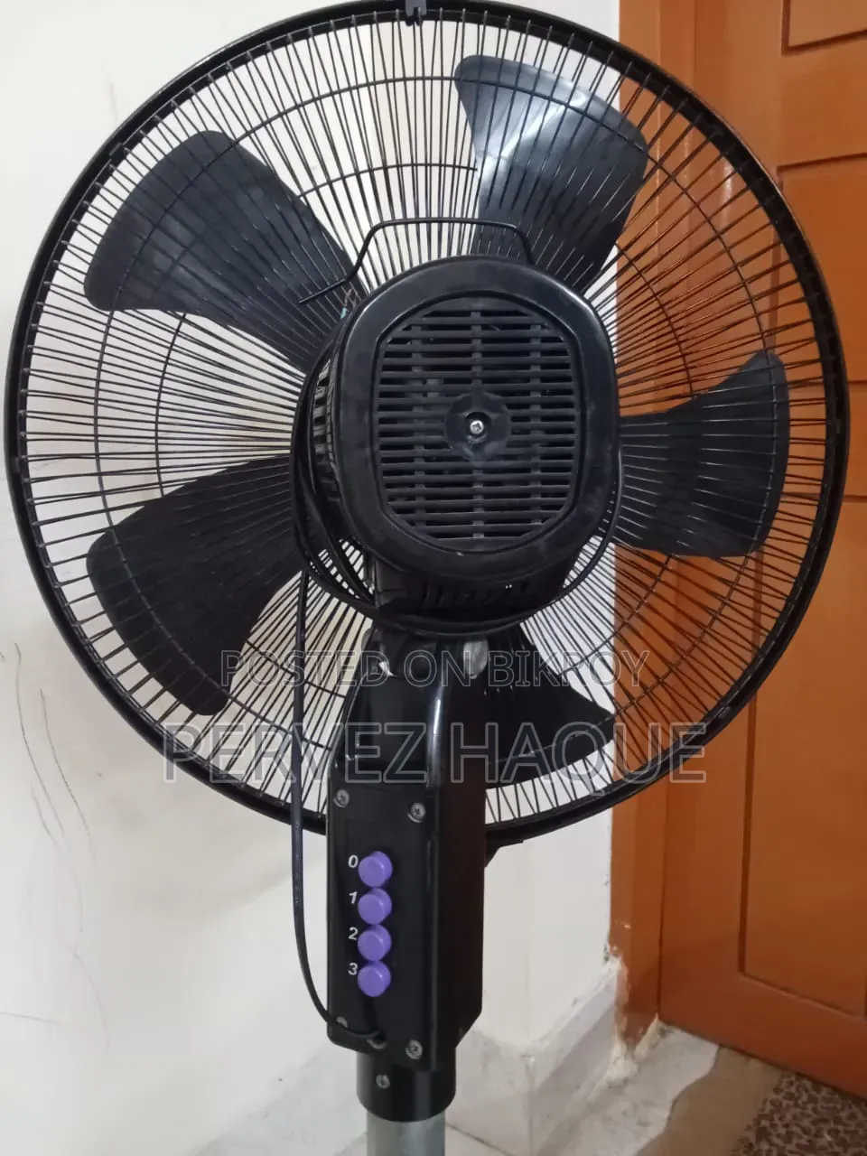 মিরা স্ট্যান্ড ফ্যান