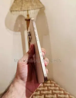 Apple iPhone 16 Pro Max 256 GB Rose Gold