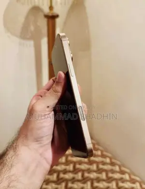 Apple iPhone 16 Pro Max 256 GB Rose Gold