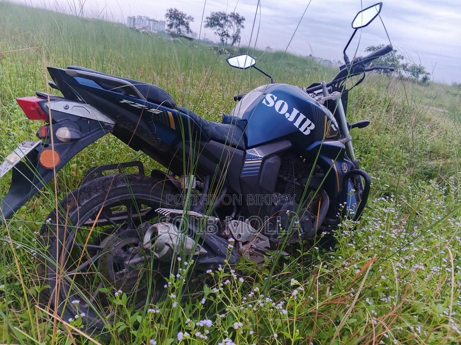Yamaha FZ 2024 Blue