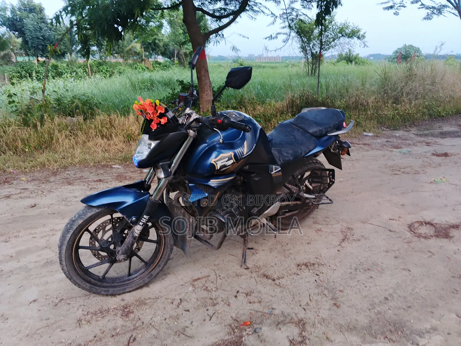 Yamaha FZ 2024 Blue