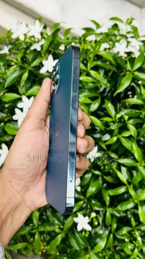 Apple iPhone 12 Pro 256 GB Blue