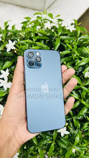 Apple iPhone 12 Pro 256 GB Blue