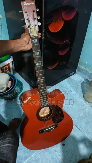Edward Guitar