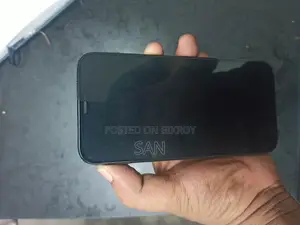 Apple iPhone 12 Pro Max 256 GB Blue