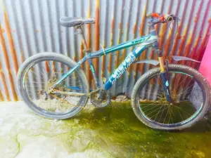 Old Bicycle