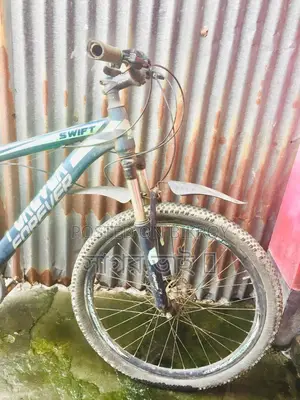 Old Bicycle