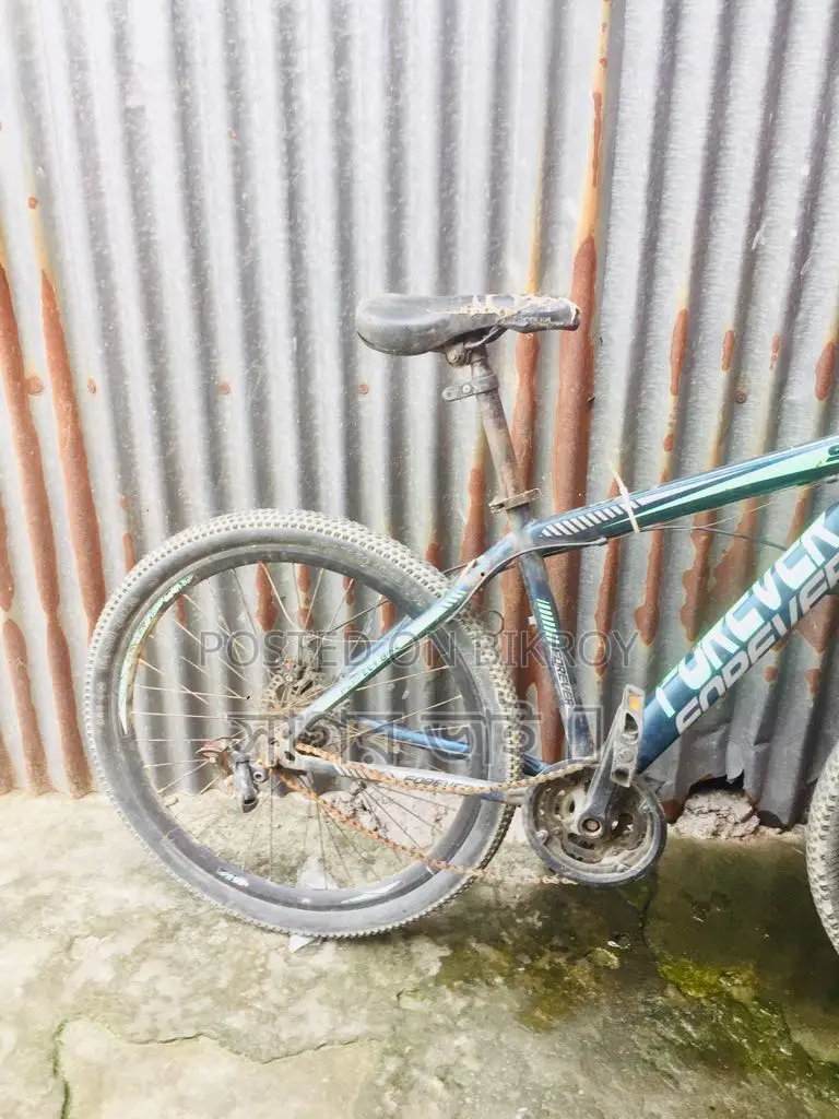 Old Bicycle