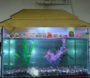Fish Aquarium for Sale