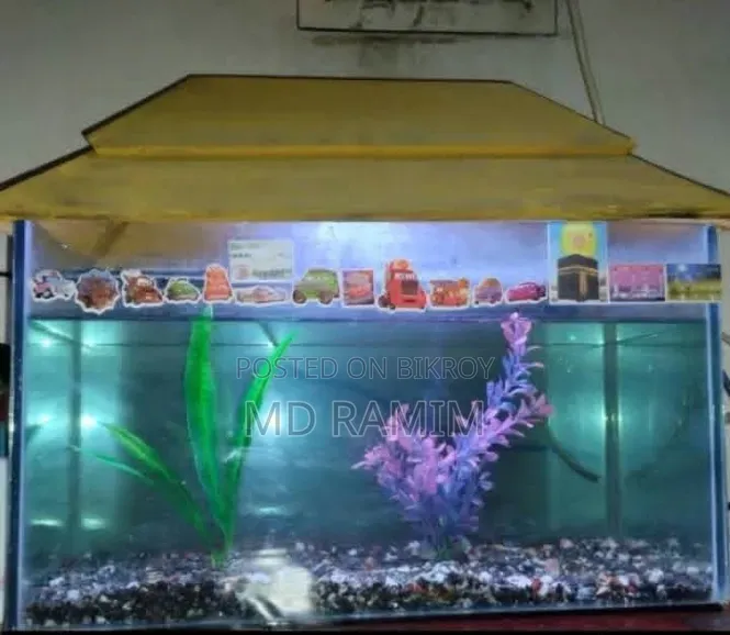 Fish Aquarium for Sale