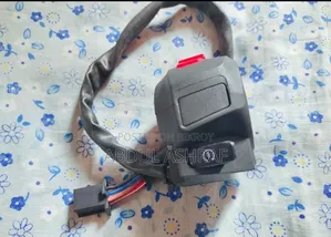 Yamaha FZS V2 Right Handle Original Switch