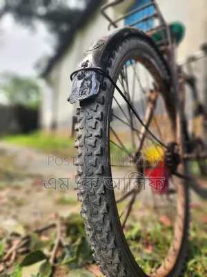 Ranger Max Cycle