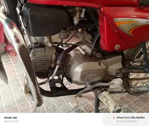 Hero Splendor Plus 2012 Red