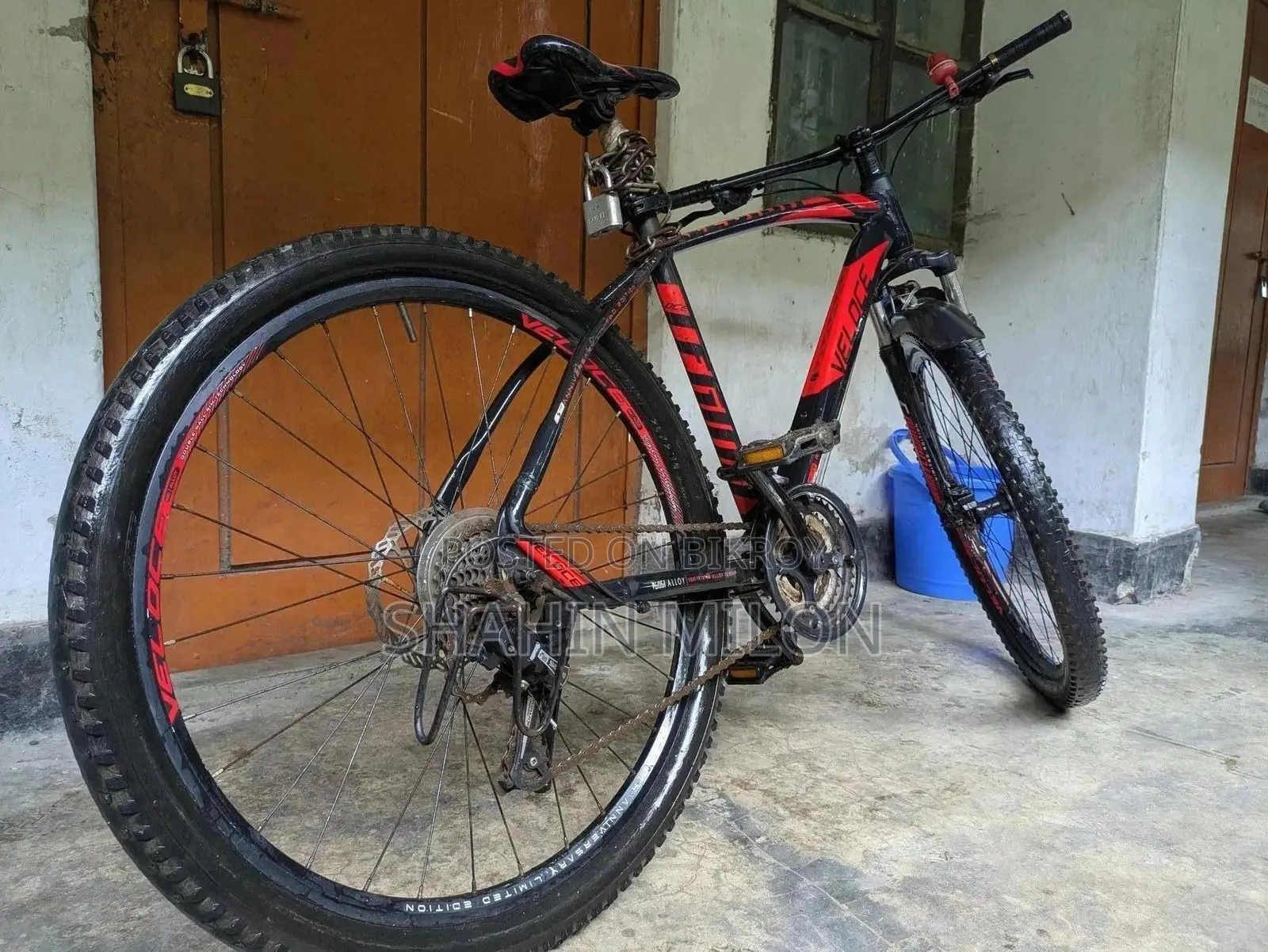 Veloce Cycle