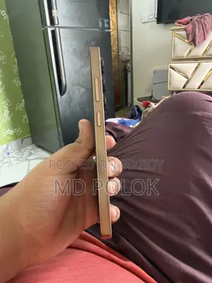 এম-হর্স বাটারফ্লাই ৩ ৬৪ জিবি সিলভার