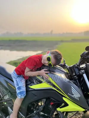 হোন্ডা হর্নেট ২০১৯ গ্রে