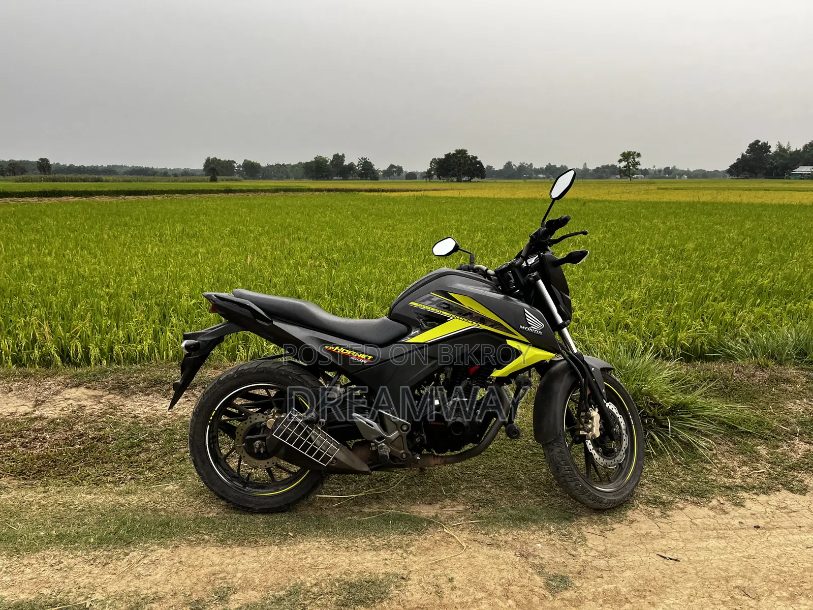 হোন্ডা হর্নেট ২০১৯ গ্রে