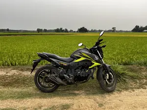 হোন্ডা হর্নেট ২০১৯ গ্রে