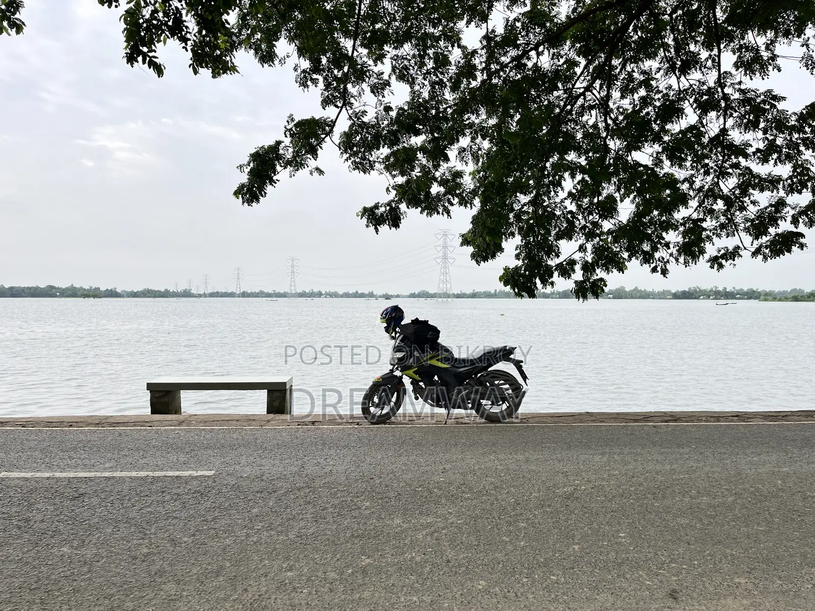 হোন্ডা হর্নেট ২০১৯ গ্রে