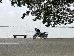হোন্ডা হর্নেট ২০১৯ গ্রে