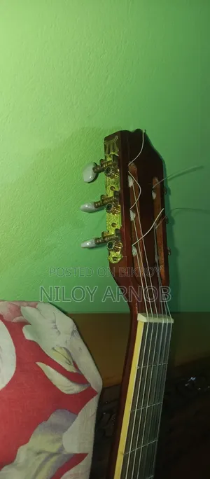 Deviser L310 Guitar Original