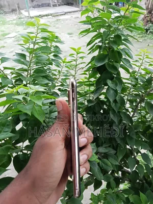 Apple iPhone XS 256 GB Gold