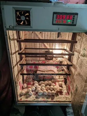 Incubator Machine
