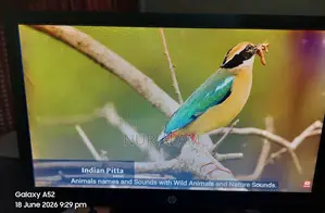 Hp Monitors