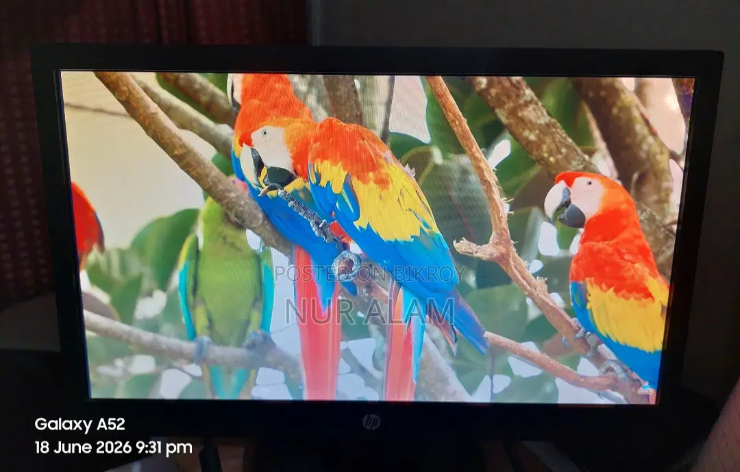 Hp Monitors