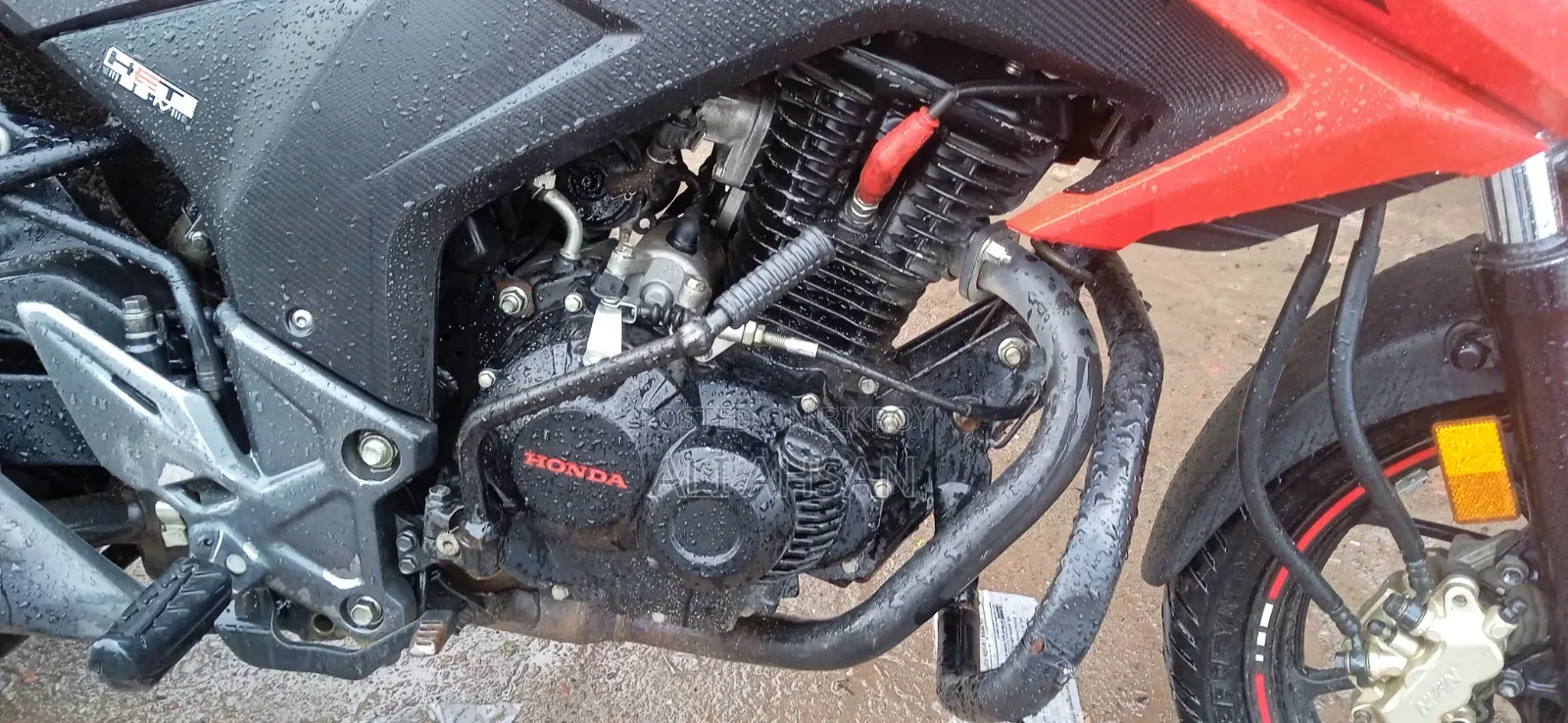 Honda Hornet 2021 Red