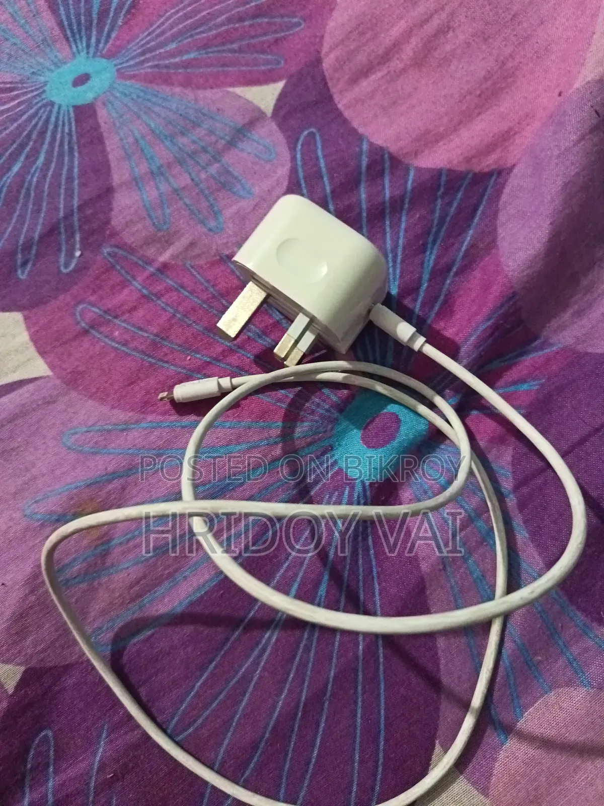 iPhone Original Charger