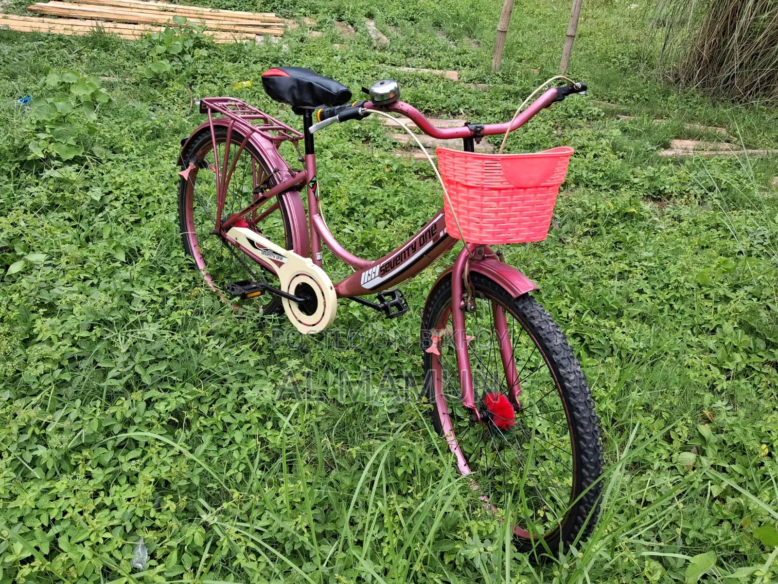 Ladies Bicycle
