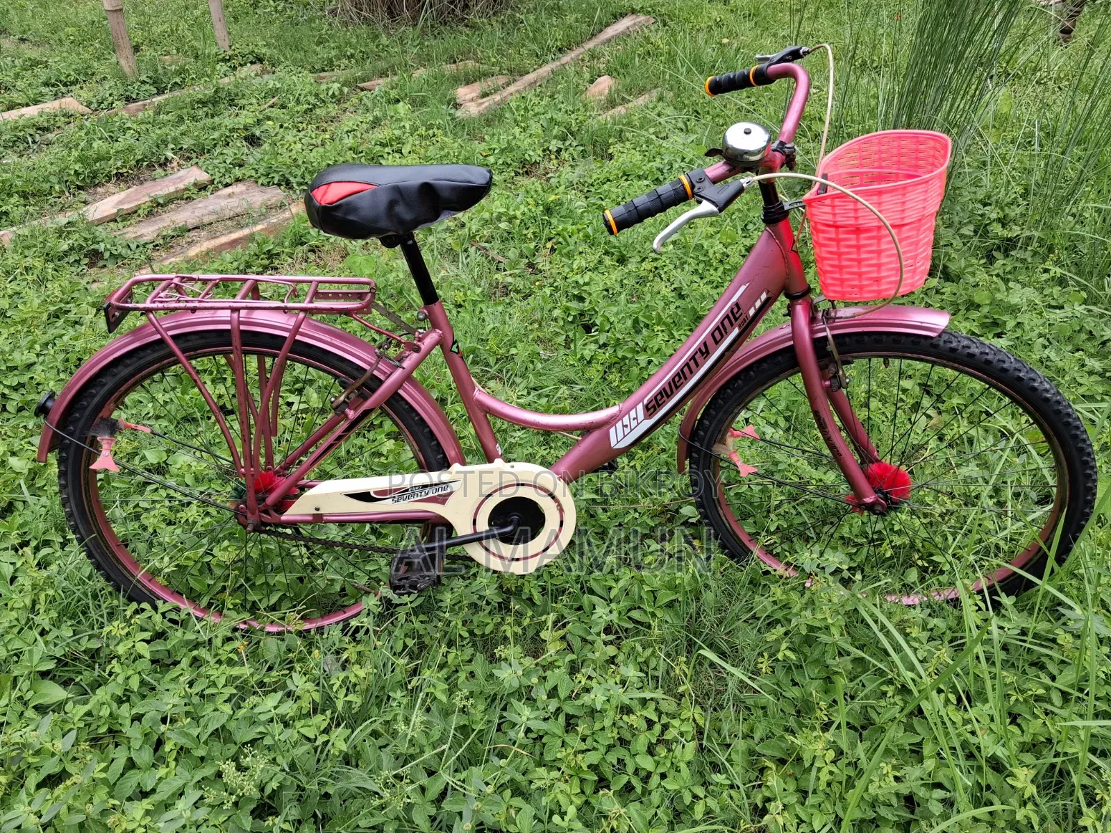 Ladies Bicycle