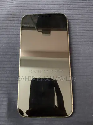 Apple iPhone 13 Pro Max 256 GB Gray