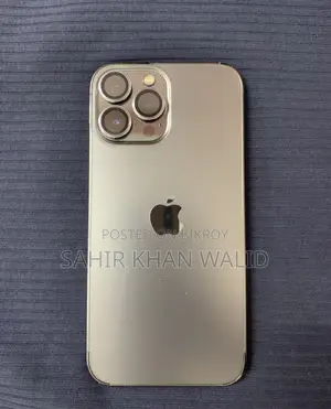 Apple iPhone 13 Pro Max 256 GB Gray