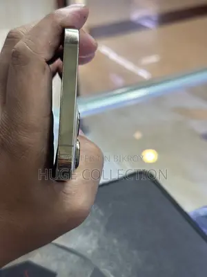 অ্যাপল আইফোন ১৩ প্রো ম্যাক্স ৫১২ জিবি গোল্ড