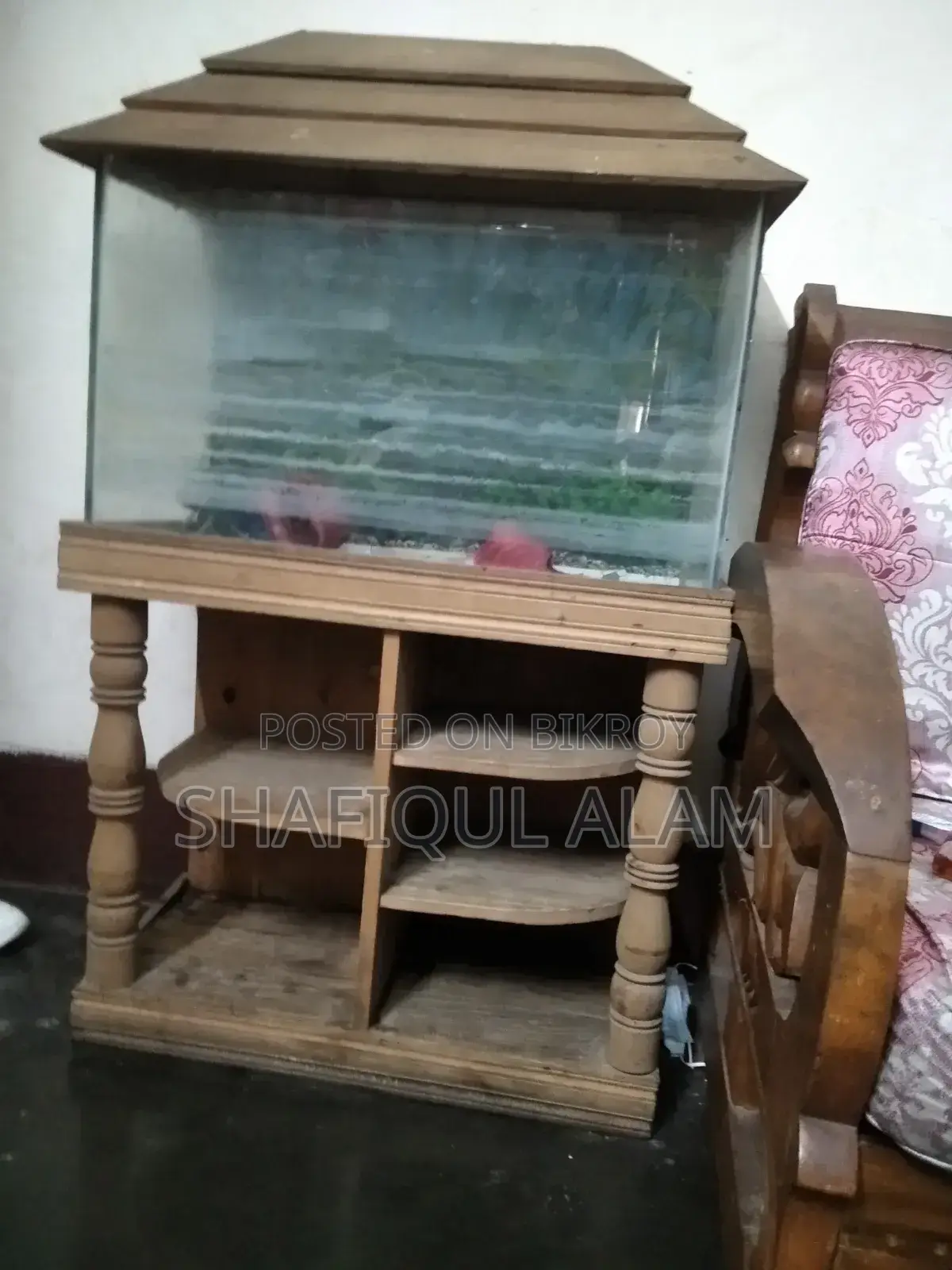 এক্যাূরিয়াম