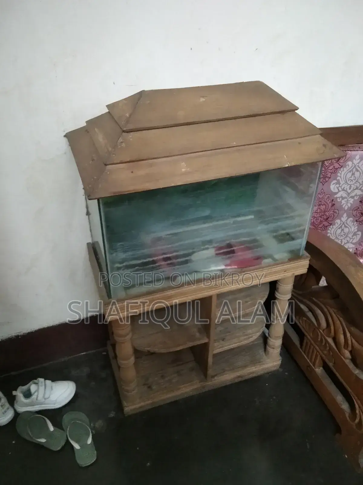 এক্যাূরিয়াম