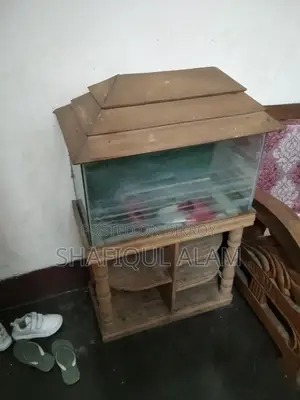 এক্যাূরিয়াম