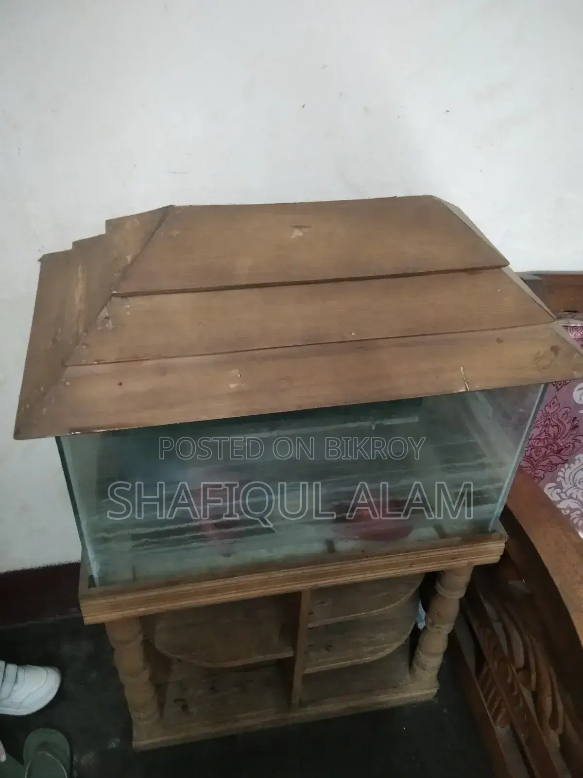 এক্যাূরিয়াম