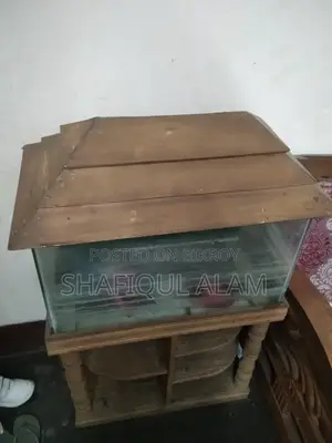 এক্যাূরিয়াম
