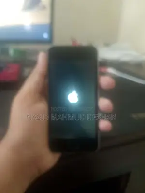 Apple iPhone 5s 16 GB Gray