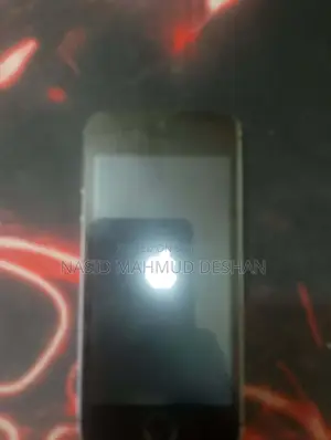Apple iPhone 5s 16 GB Gray