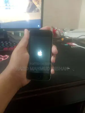 Apple iPhone 5s 16 GB Gray