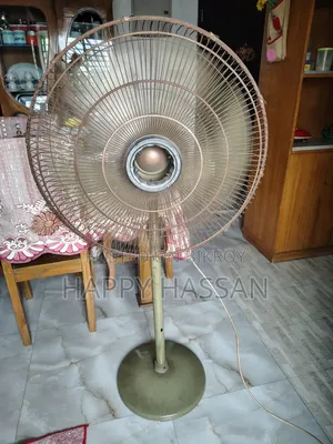 Pak 20" Used Pedestal Fan (Color Family: Green)