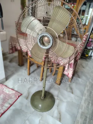 Pak 20" Used Pedestal Fan (Color Family: Green)