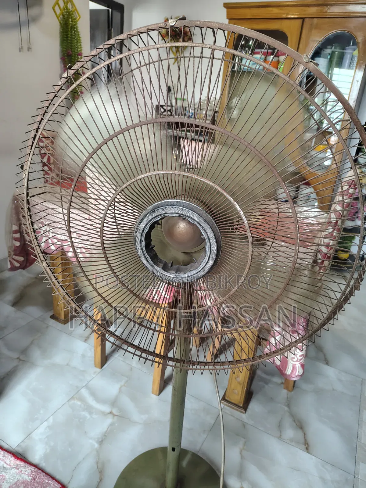 Pak 20" Used Pedestal Fan (Color Family: Green)